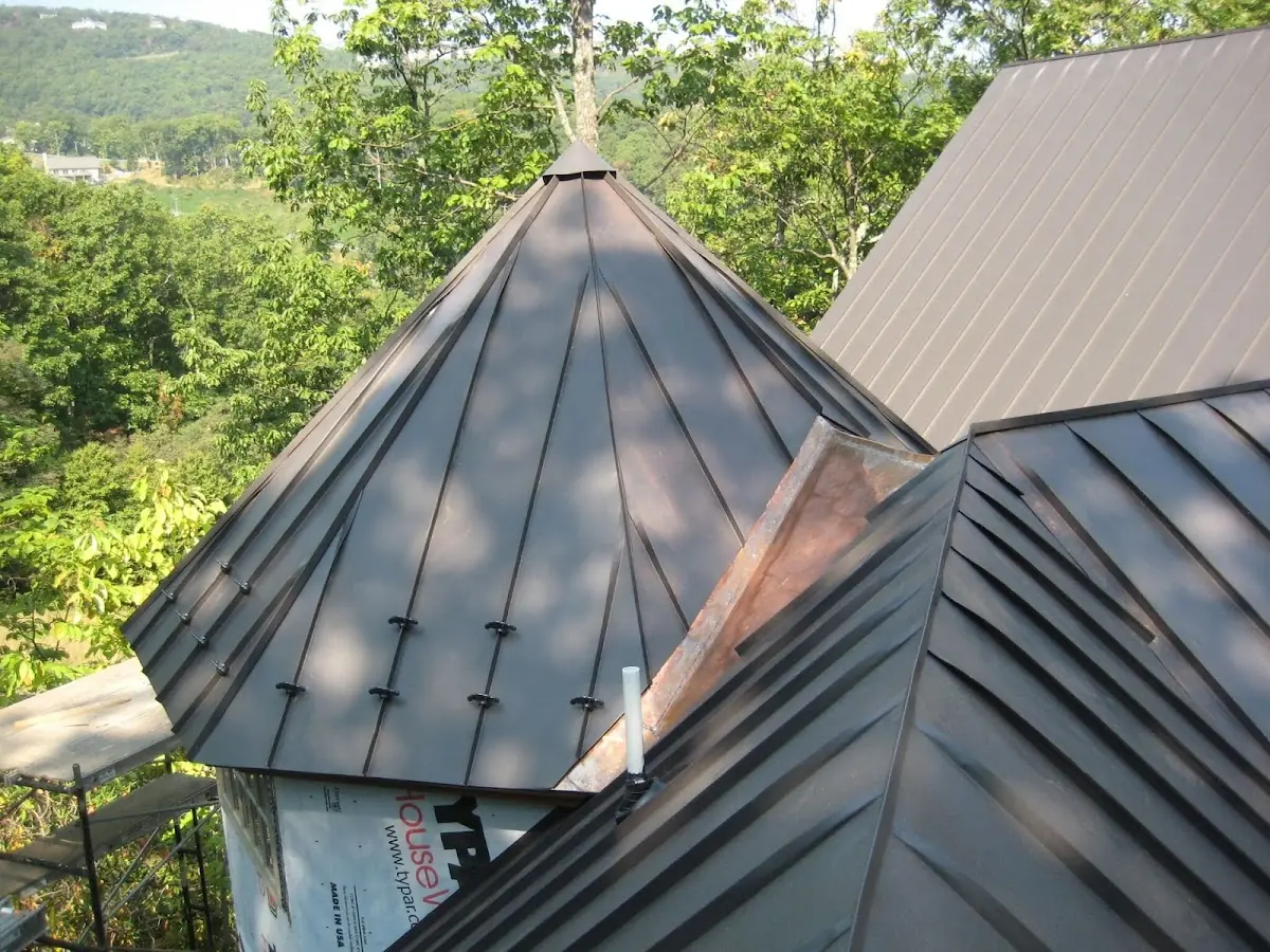Professional Shingle Replacement & Repair by Craftsman Roofing in Cabaniss